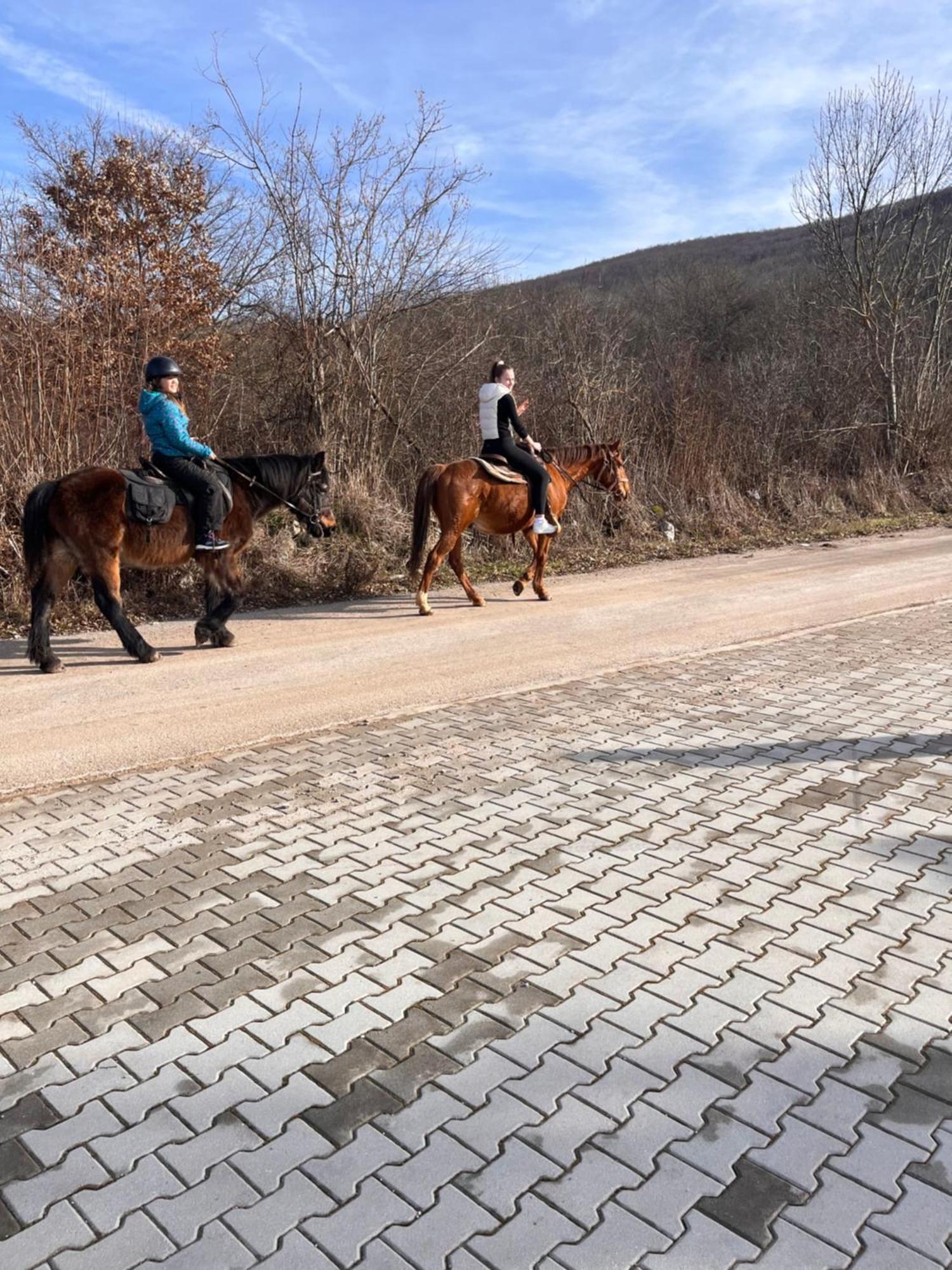 קורניצה Plitvice Village מראה חיצוני תמונה